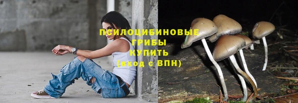стафф Балахна
